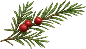 Décoration de Noël